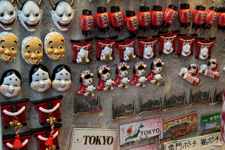 Tokyo City Highlight Private Tour Full Adjustable Itinerary