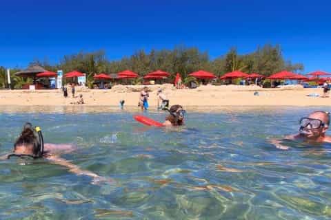 Noumea: Hop-On Hop-Off Bus + Duck Island Day Trip