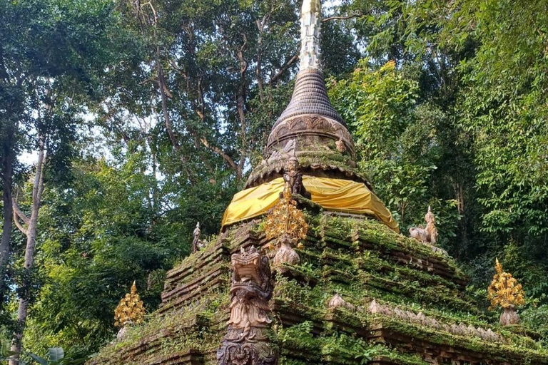 Chiang Mai: Wat Pha Lat &amp; Wat Phra That Doi Suthep-turGruppresa med upphämtning från hotell