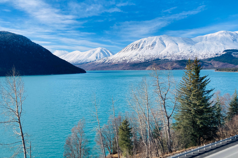 Winter Ice Climbing Experience from Seward