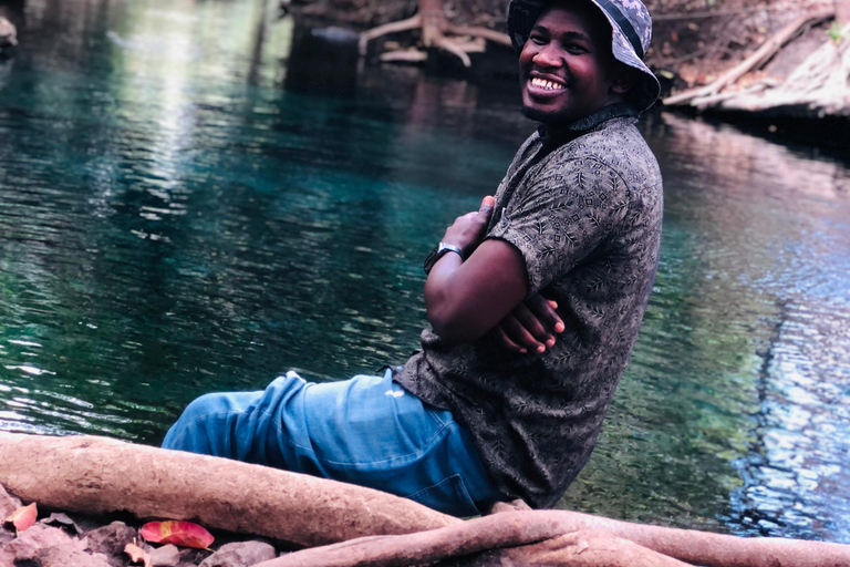 Moshi: Chemka Hot Springs and Waterfall with lunch