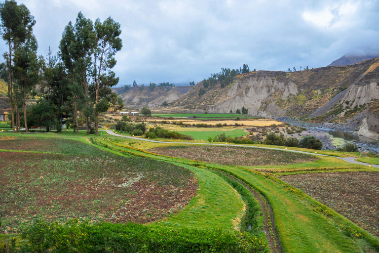 From Arequipa: Colca Canyon Two-Day Tour