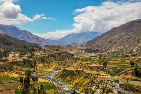 Från Arequipa: Två dagars rundtur till Colca-dalen i Anderna