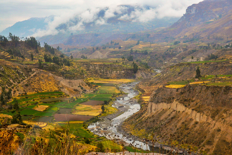 Z Arequipa: dwukolorowa wycieczka po kanionie ColcaZ Arequipy: dwudniowa wycieczka po kanionie Colca