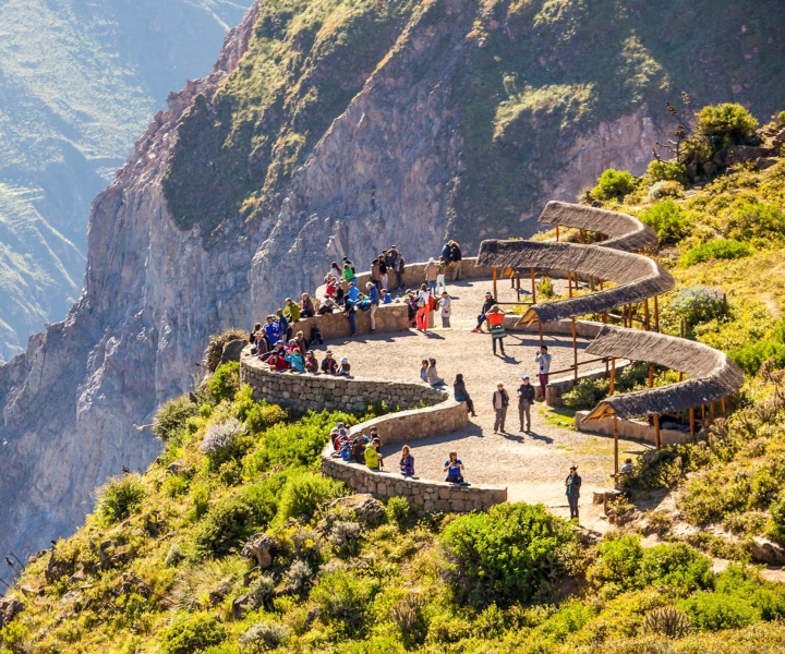 From Arequipa: 2-Day Colca Canyon Tour with Transfer to Puno