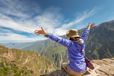 Depuis Arequipa : journée dans le canyon de Colca