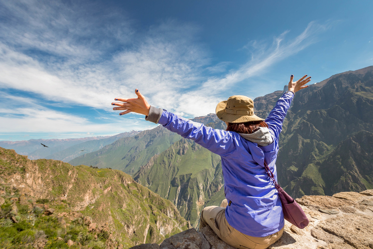 Ande: tour di 1 giorno del Canyon del Colca