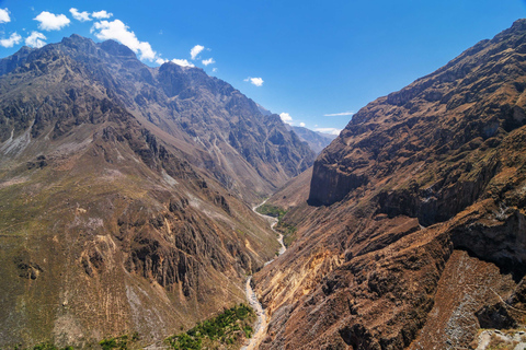 Andy: jednodniowa wycieczka do kanionu Colca