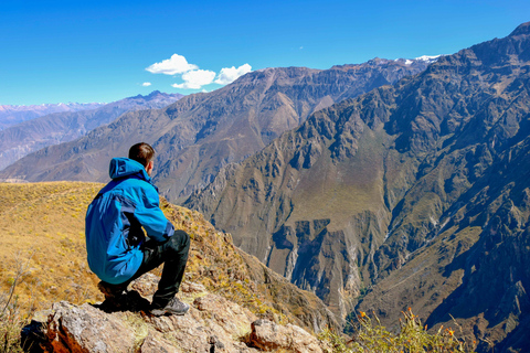 Ande: tour di 1 giorno del Canyon del Colca