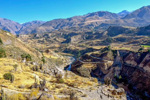 Ande: tour di 1 giorno del Canyon del Colca