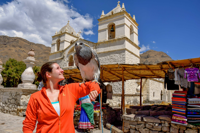 Depuis Arequipa : journée dans le canyon de Colca