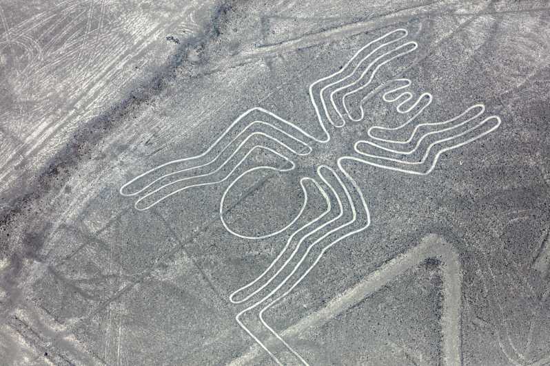 From Nazca: Nazca Lines Flight