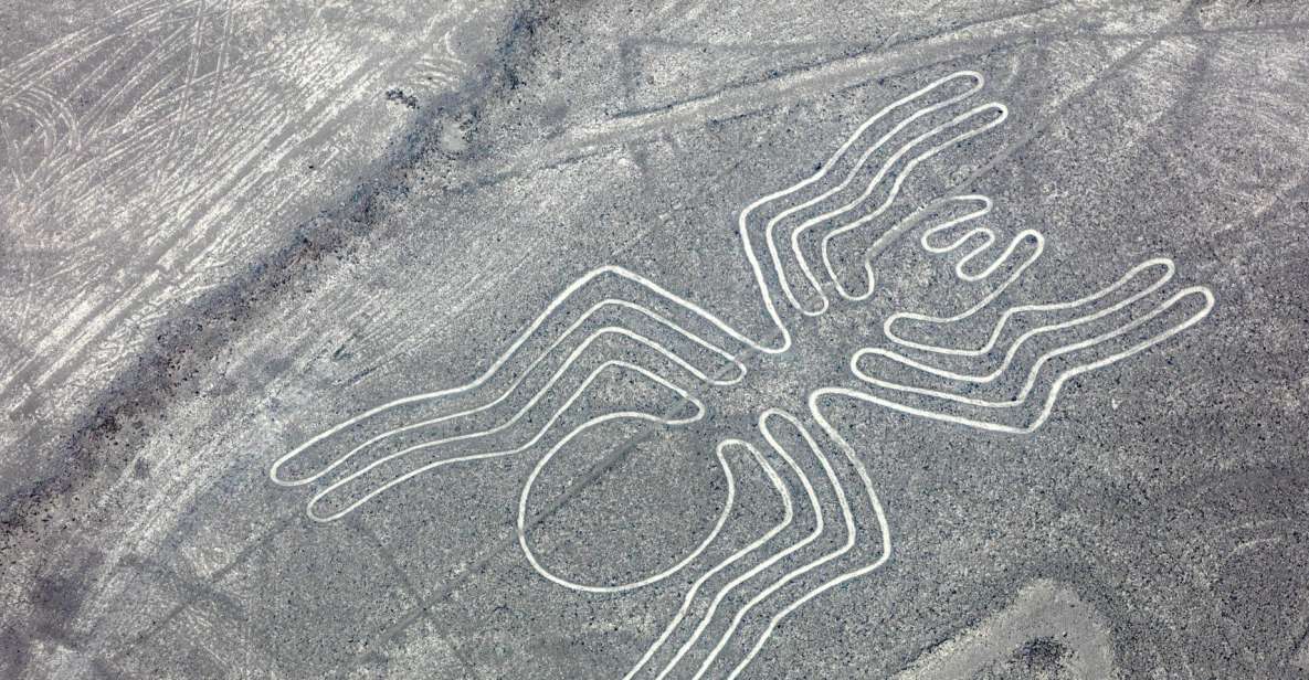 From Nazca: Nazca Lines Flight