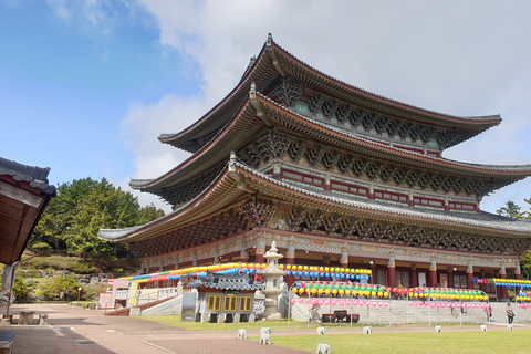 Jeju: Escursione sul monte Hallasan e tour di un giorno dei siti UNESCO