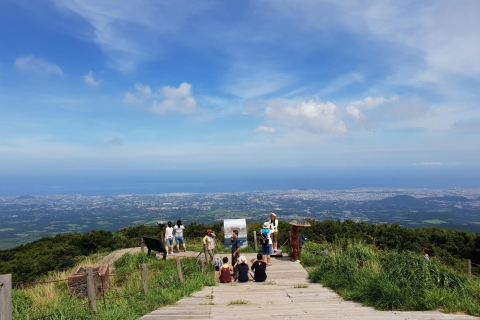 Jeju: Mt. Randonnée nature en petit groupe de Hallasan et déjeuner
