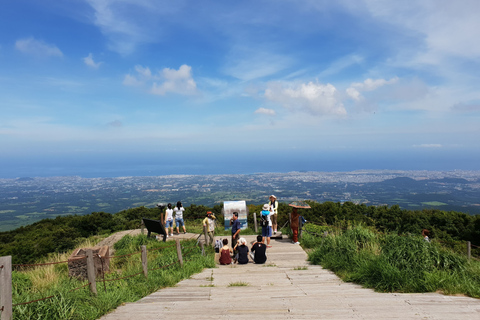 Jeju: el monte. Caminata por la naturaleza en grupo pequeño de Hallasan y almuerzo