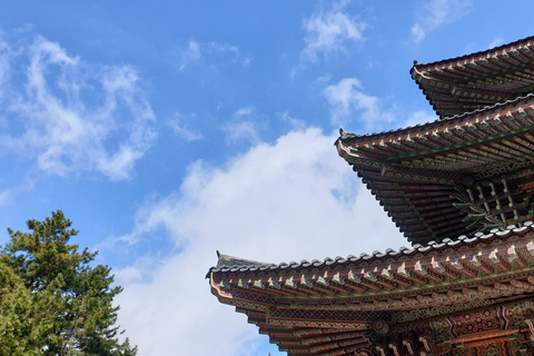 Jeju: Escursione sul monte Hallasan e tour di un giorno dei siti UNESCO