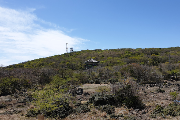 Jeju: Mt. Randonnée nature en petit groupe de Hallasan et déjeuner