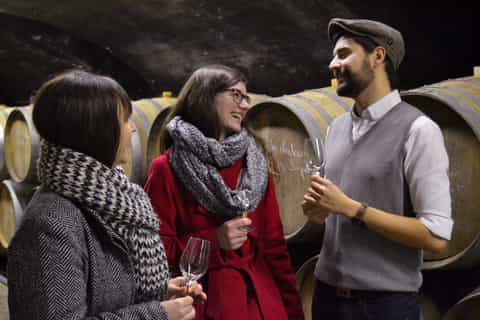 région viticole de mâcon visite des vins de 4 heures au départ de mâcon