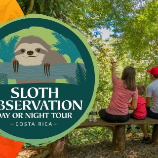 La Fortuna: Small-Group Sloth Watching Experience