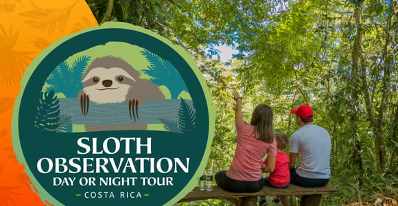 La Fortuna: Small-Group Sloth Watching Experience