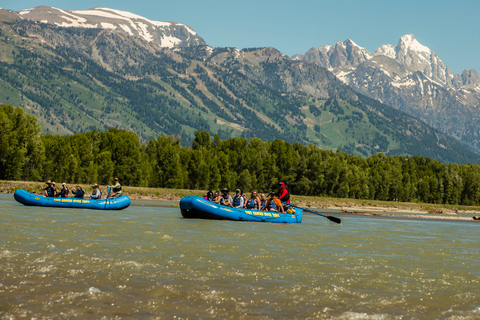 13-Mile Snake River Scenic Rafting Experience from Jackson