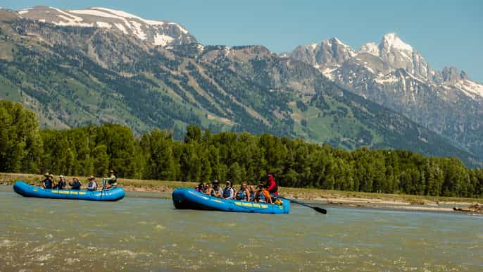 experiencia de rafting panorámico de 13 millas en el río snake desde jackson