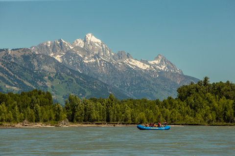 13-Mile Snake River Scenic Rafting Experience from Jackson