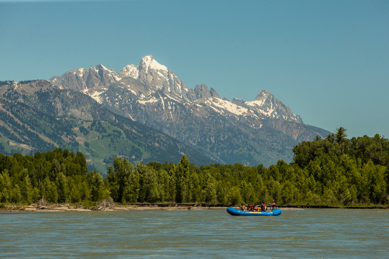 13-Mile Snake River Scenic Rafting Experience from Jackson