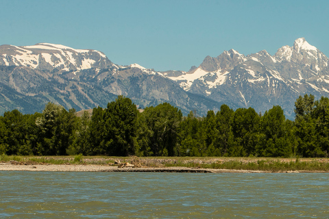 13-Mile Snake River Scenic Rafting Experience from Jackson