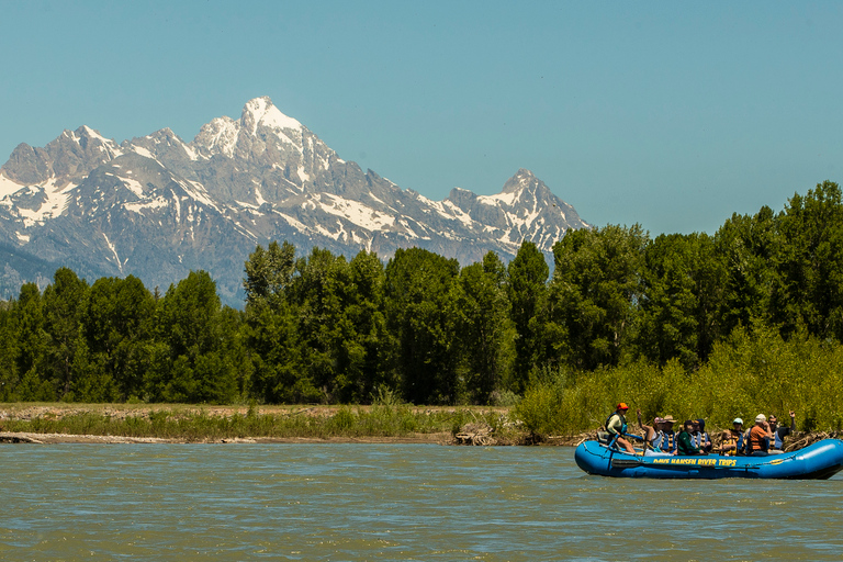 13-Mile Snake River Scenic Rafting Experience from Jackson