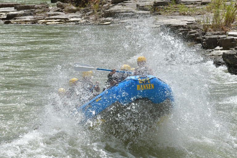 Jackson: 4-Hour Small Boat Snake River Whitewater Rafting