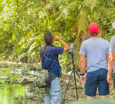 Safaris & wildlife activities