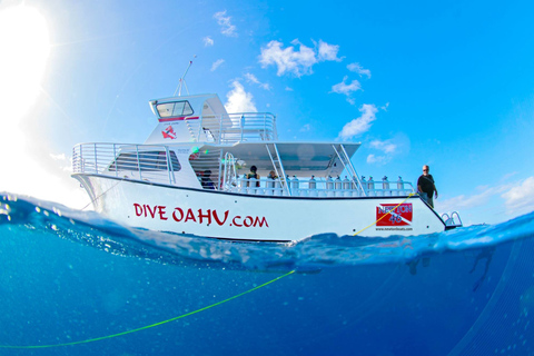 Oahu : Plongée sous-marine dans les récifs peu profonds pour les plongeurs certifiésOahu: Plongée sous-marine Shallow Reef pour les plongeurs certifiés