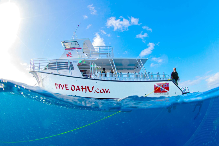 Oahu (Oahu) Scubadykning vid grunt rev för certifierade dykareOahu: Shallow Reef Scuba Dive for Certified Divers