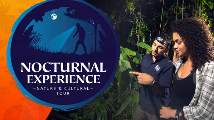 from la fortuna nocturnal nature experience