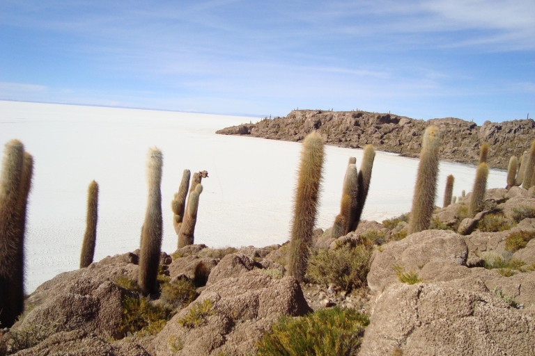 Bolivien: 3 Tage Privattour zum Uyuni-Salzsee mit Hotel