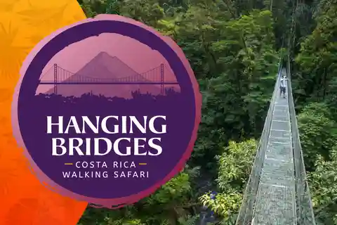 Parc national d'Arenal : visite en petit groupe des ponts suspendus