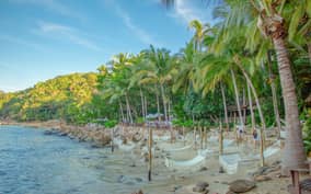 Puerto Vallarta: Las Caletas Beach Hideaway Experience