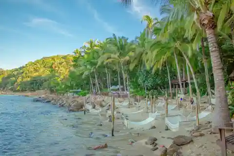 Puerto Vallarta: Las Caletas Beach Hideaway Experience