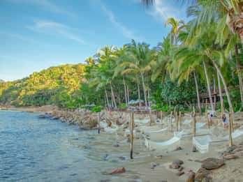 Puerto Vallarta: Las Caletas Beach Hideaway Experience