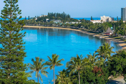 Noumea: Hop-On Hop-Off Bus from Cruise Ship Terminal