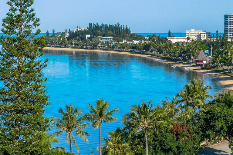 Noumea: Hop-On Hop-Off Bus from Cruise Ship Terminal