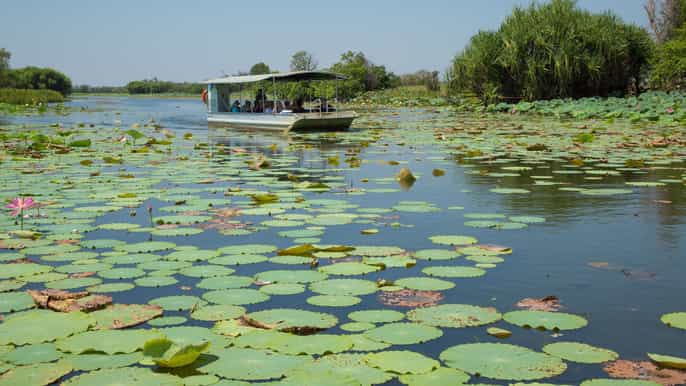 from darwin mary river wetlands wildlife cruise + lunch