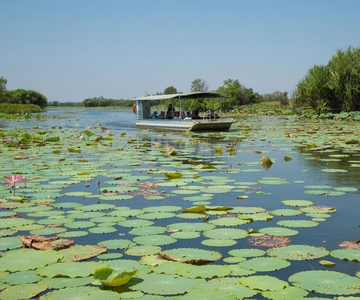 Darwin: Mary River Wetlands Wildlife Cruise with Lunch