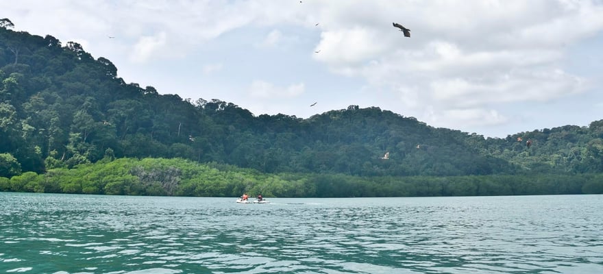 the-best-pulau-singa-besar-nature-adventure-2023-free-cancellation
