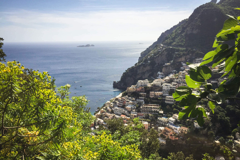 Desde Nápoles: tour privado de un día completo por la costa de Pompeya y Amalfi