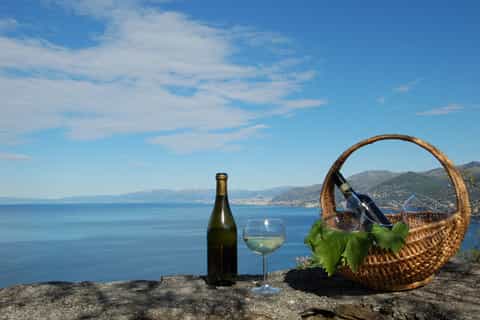 Camogli: Ligurian Wine Tasting Experience