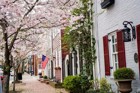 Old Town Alexandria: Southern Comfort Food &amp; History TourAlexandria: Old Town Boutique Food Tour