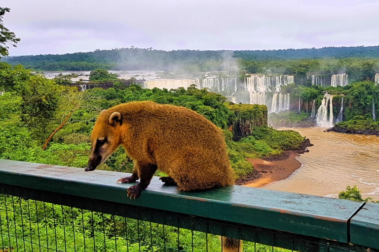 Z Foz do Iguaçu: Wodospad Iguazú i Macuco SafariPrywatna wycieczka nad wodospad z rejsem
